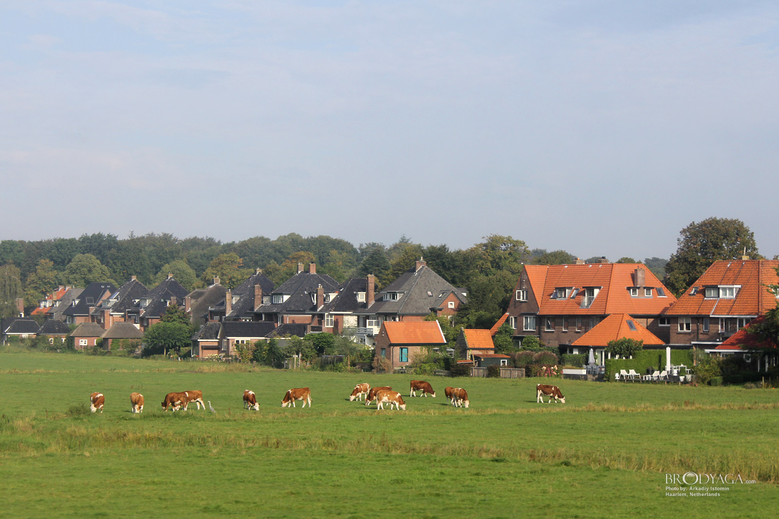 Haarlem
